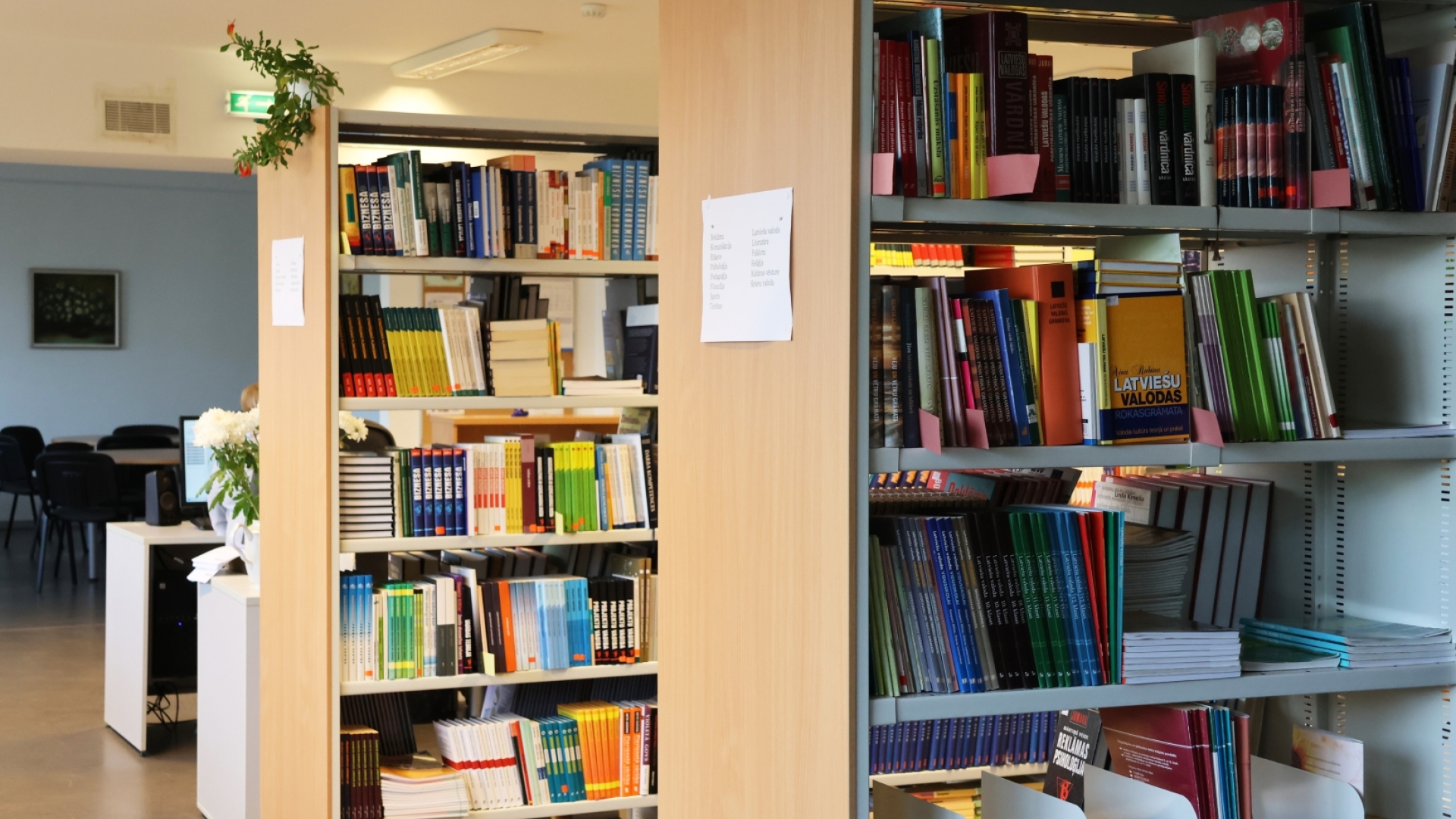 Grāmatu plaukti skolas bibliotēkā